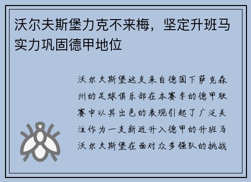沃尔夫斯堡力克不来梅，坚定升班马实力巩固德甲地位