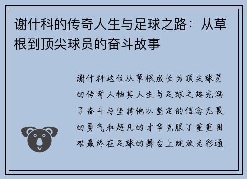 谢什科的传奇人生与足球之路：从草根到顶尖球员的奋斗故事